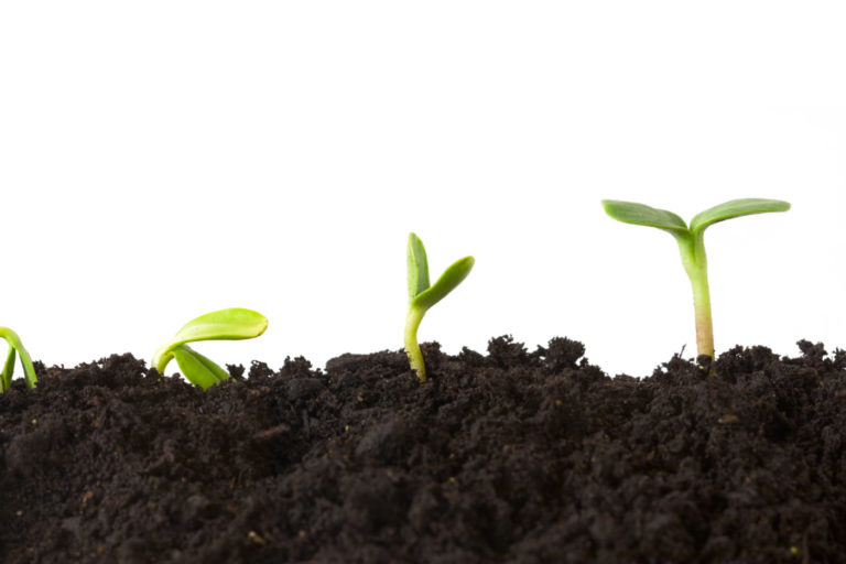 The Ecommerce opportunity for events